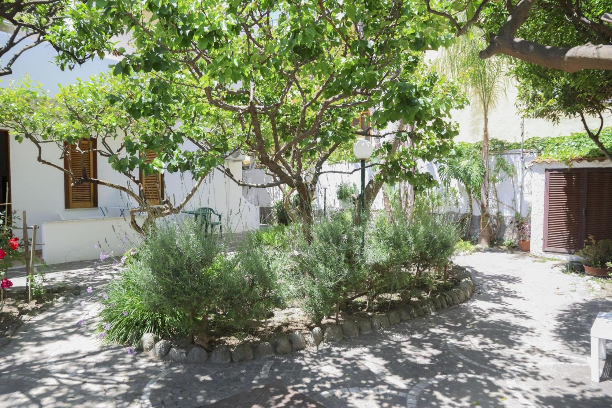 Hotel Cesotta Forio di Ischia المظهر الخارجي الصورة